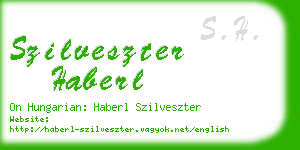 szilveszter haberl business card